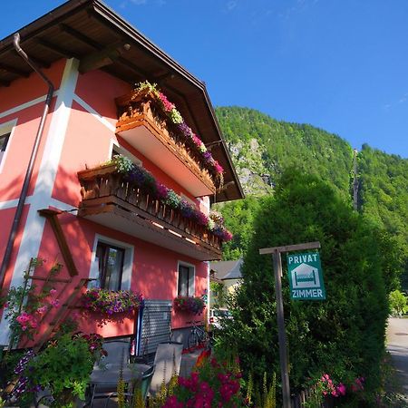 Haus Hoell Herta Χάλστατ Εξωτερικό φωτογραφία